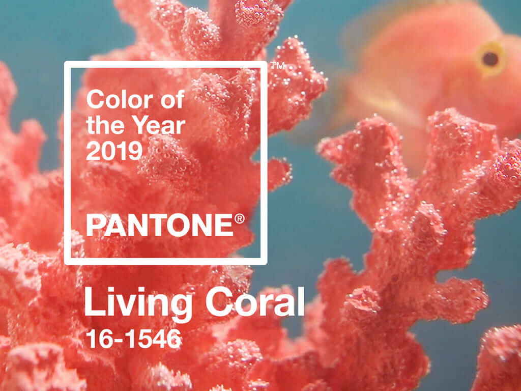 Living Coral: A cor Pantone do ano de 2019