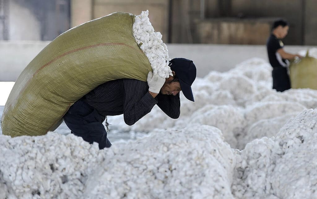 Modo de produzir o algodão se alterou com a revolução causada na indústria da moda pelas fast fashions.