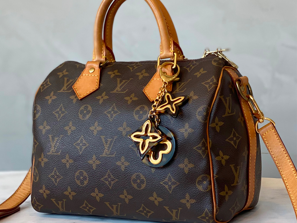 Bolsa Speedy da Louis Vuitton do Etiqueta Única