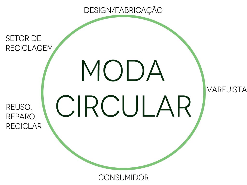 grafico de moda circular